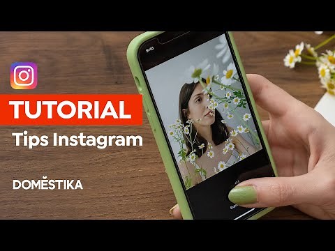 INSTAGRAM TUTORIAL: 5 Basic Tips for Success | Mina Barrio | Domestika