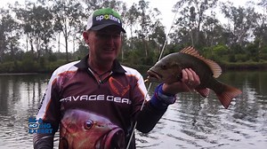 35K views · 249 reactions | Jack attack! Jason Medcalf shows us the best ways to target these ferocious predators and the different types of lures to use based on location. These beasts require a lot of patience, but once you have cracked the right techniques to use... Fish on! | BCF - Boating, Camping, Fishing | Facebook