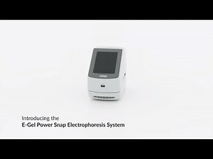 Invitrogen E-Gel Power Snap System