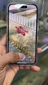 6.5K views · 50 reactions | iPhone 16 Pro Visual Intelligence vs Starfish #iphone16pro #AppleIntelligence #appleiphone #16pro #iphone16 | AnotherTech | Facebook