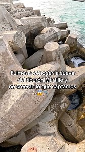 529K views · 6.7K reactions | Fuimos a conocer la cueva del tiburón, martillo y esto fue lo q grabamos  | El compa promes | Facebook