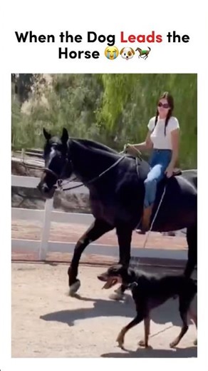 Kendall Jenner Riding With Her Dog… Too Cute 😍🐎🐶#kendalljenner