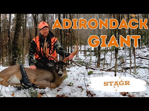 Tracking An Adirondack Giant | Adirondack Mountains Deer Hunting