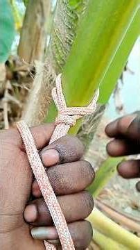 Try this at home & tell me 🔥