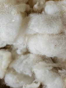 Merino Sheep's Wool for Spinning, Felting, Crafting, Stuffing, and Stuffing, Washed Using Resource-saving Methods, From Regional Shepherds, 250g Each. - Etsy