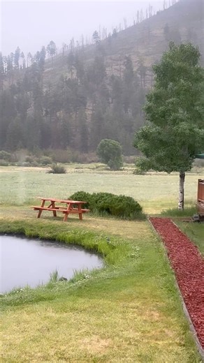 🌧️ Wait! What?! Phoenix is 103°F, but Greer’s a cool 64°F with a sprinkle! Escape the desert heat with us! 😎 #visitgreer #summer2024 | Greer Lodge Resort & Cabins