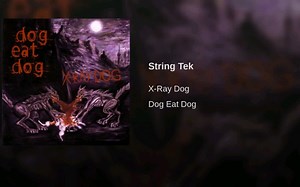【X-Ray Dog】 -String Tek
