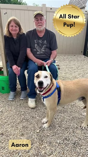 Anderson Humane on TikTok