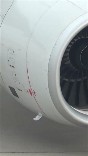 羽田T3プッシュバック