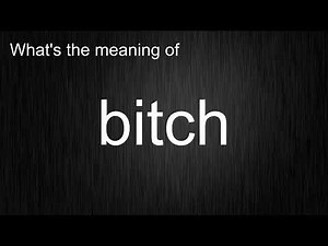 What's the meaning of "bitch", How to pronounce bitch?