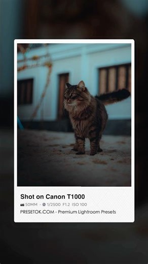80s OLD Lightroom Filter | Tutorial #photoshop