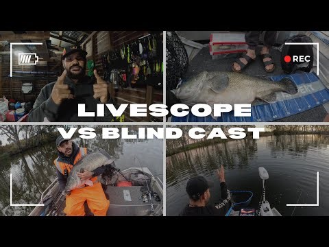 QLD MURRAY COD FISHING - first crack at the livescope didn't dissapoint