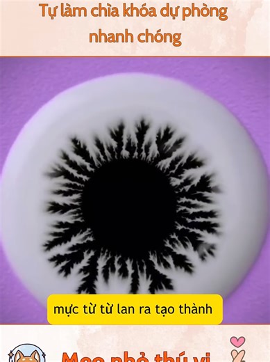 Cách mở nắp nhanh đơn giản mọi lúc (Tập 102)
