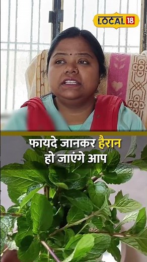 Mint Leaves Benefits: गर्मी में सेहत के लिए किसी टॉनिक से कम नहीं पुदीना | Health | #local18shorts