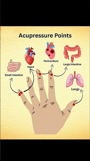 Acupressure point for hand