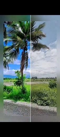 iOS Style Video Editing on Android 😱 | Simple One-Tap App #iPhoneStyleEdit #OneClickEdit #videoediting #txtechbangla #androidcustomize #viral | Tech Bangla
