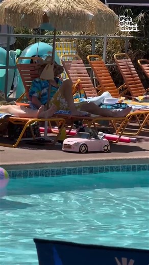 116K views · 1.6K reactions | The coolest pup at the pool party!  (Via - Jill D.) #Dog #Pool #DogLife #Summer | The Pet Collective | Facebook