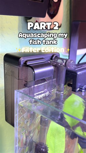 Part 2 Aquascaping my fish tank: Filter Edition ✨ In this video I will teach you about what filter I use, how to set up your filter sponge, and how to clean the filter. Comment if you have any questions! #aquarium #filter #nicrew #fishtank #bettafish