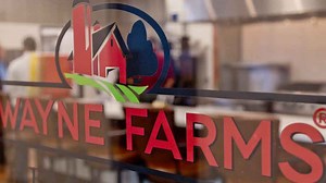 Local poultry farm offers discounted chicken in response to meat shortage