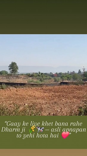 368K views · 20K reactions | “Apni gaay ke liye khet bana raha hu, taki use har din taaza chara de saku… wah Dharm ji, asli pyaar to yehi hai ❤️” #DharmJi #VillageLife #CowLove #OrganicFarming #SimpleLiving #PureHeart #IndianVillage #NatureVibes #GauSeva #HardworkPaysOff #LoveForAnimals #RespectFarmers #RuralIndia #PeacefulLife #DreamVacation | Gita Gaur | Facebook