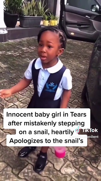 amobedient على TikTok