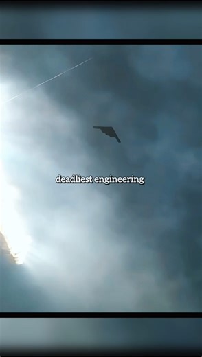 The B2 Stealth Bomber (Explained) 😨 #science #plane #facts