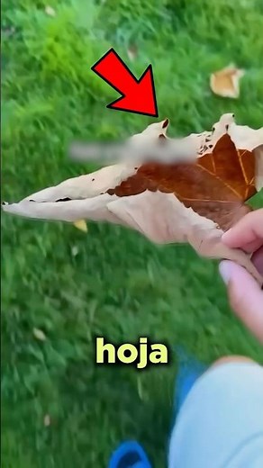 El Crujido de Hojas Más Satisfactorio de Todos