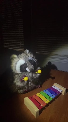#raccoon #xylophone #cookie #fyp | Raccoon