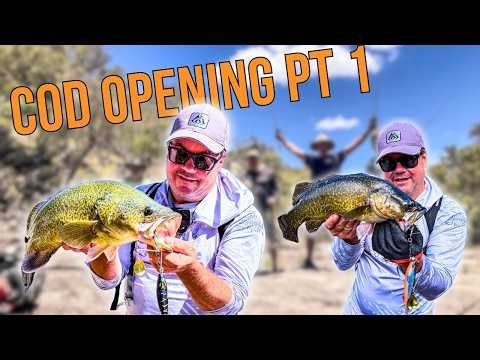 Murray Cod Fishing Opening Week part ONE!