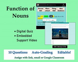 Function of Nouns Google Form™ Quiz + Support Video - CCSS.L.3.1.a
