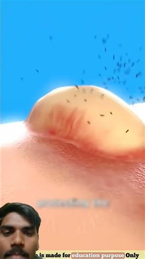 #youtubeshorts #facts #shorts