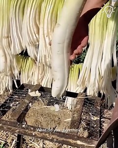 26K views · 217 reactions | How fruits and veggies get processed! #fruits #vegetables #veggies #foodprocessing #food #viralreels #reels | Foodie's Time | Facebook