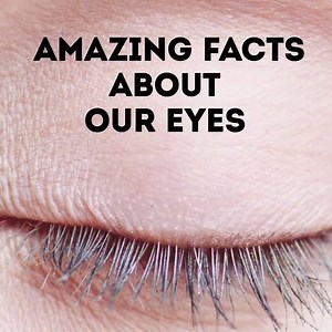 1.1M views · 8.5K shares | Amazing facts about our eyes. | Now I've Seen Everything | Facebook