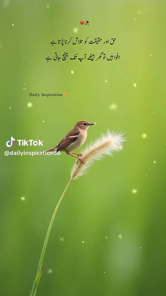 Emotionally Powerful Poetry Status for Deep Reflection