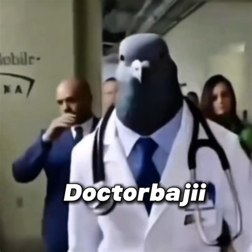 pigeon doctor meme 😂#shorts #memes #reels #funny