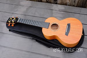 Enya EUC-MS Concert Ukulele - REVIEW