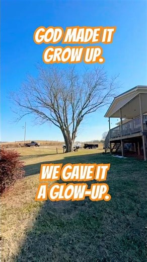 Maple Tree Makeover - Crown Reduction & Cleanup | Timelapse