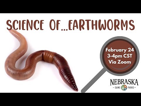 Science of...Earthworms