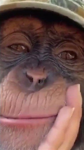 Sagesse #France #CitationDuJour #Proverbe #Sagesse