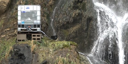 Treatment for the invasive quagga mussel begins