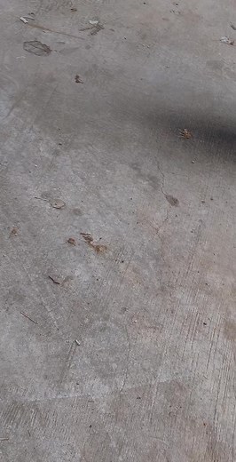 Exploring Mobility Scooters: A Practical Guide