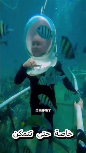 🐠 رحلة سحرية إلى أعماق البحر مع الأسماك الجميلة 🌊✨