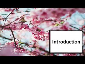 Purpose Driven Life Series | Introduction: Unveiling Your Path to Fulfillment