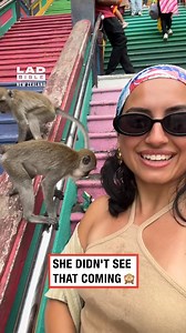 Monkey said drip check 💀👂 | LADbible New Zealand