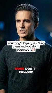 Your Dog Guards You, But You Cannot Guard Them 24/7 #usa #dog #doghealth