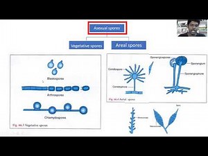 3. Reproduction and sporulation in fungus