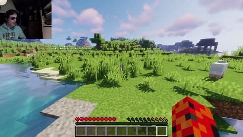 Minecraft Zoo Survival: The Beginning and Gate Entrance