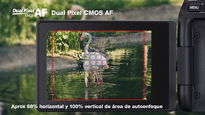 4.2K views | Más rápido y sensible Dual Pixel CMOS AF, ahora con una zona de autoenfoque ampliada y el nuevo detector de ojos para mantener tus fotos siempre enfocadas. #EOSRebelSL3  | Canon | Facebook