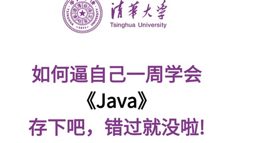 【2025全程喂饭级】零基础 Java 入门！附带（学习路线+Java笔记）从环境搭建到第一个项目实战，保姆级教程带你飞！