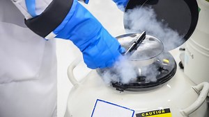 [Vidéo] L’autoconservation des ovocytes : et pourquoi pas ?